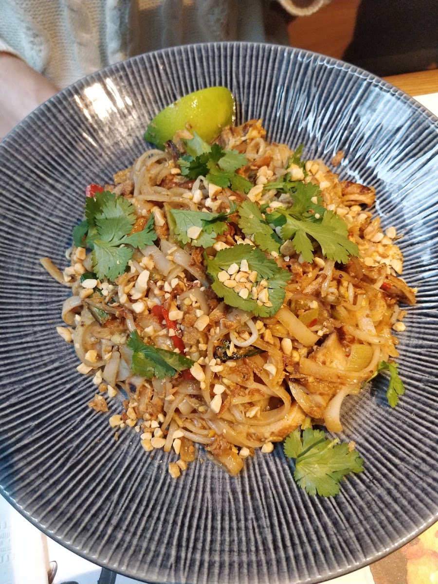 Wagamama, Midtown, New York-6